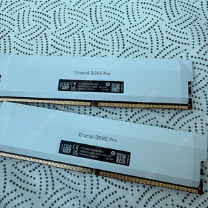 마이크론 Crucial DDR5-6400 CL38 PRO Overclocking (16GB*2)