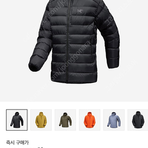 아크테릭스 토륨 후디 블랙 L