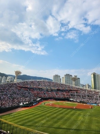 5/30~6/1 롯데 SSG 2연석/4연석 양도--0