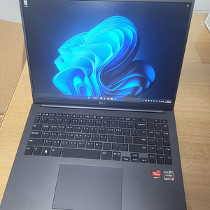 LG 울트라 PC 엣지 노트북16UD70R