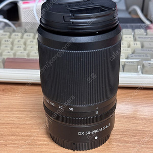 니콘 NIKKOR Z DX 50-250mm