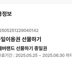 에버랜드 종일권