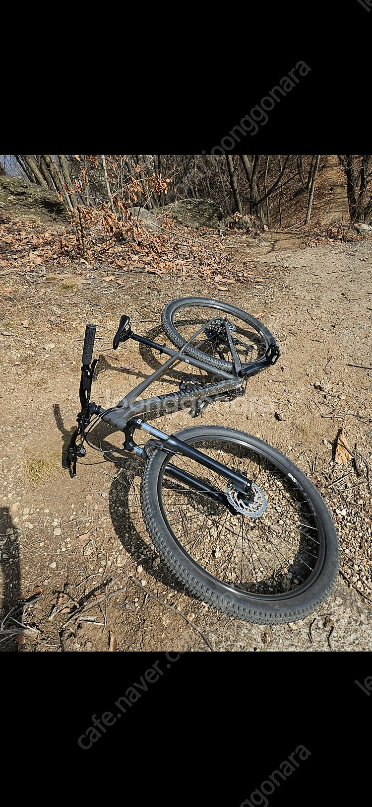 캐논데일 트레일 5 mtb--0