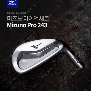 미즈노 프로 243 6i (nspro 950 r)