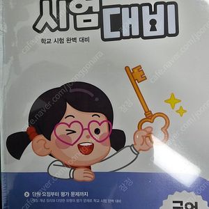 아이스크림 홈런 4학년 1학기 4-1