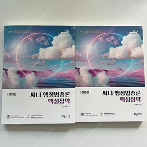써니 행정법총론 핵심집약 이론/문제