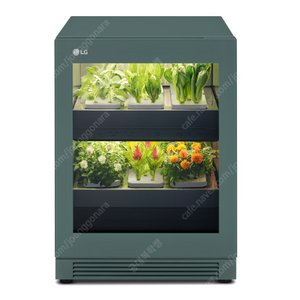 [새상품] LG 틔운 오브제컬렉션 L123G1P