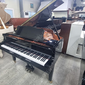 2022년제품야마하베이비그랜드피아노 GC-1