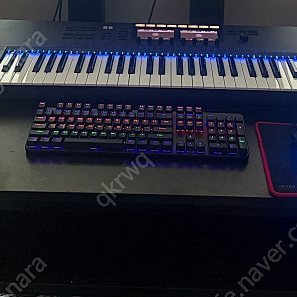 Ni komplete kontrol s61 mk2 쿨거래시 네고