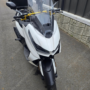 존테스 125d 블랙 신차급