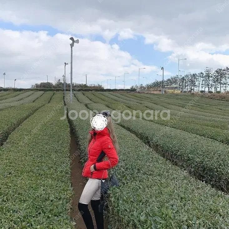 정품 몽클레어 숏패딩 허리라인 잘록 허리조절 레드 빨강...--8