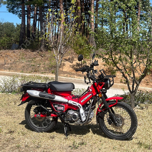 [강원] 혼다 헌터커브 CT125 판매 (24년 1742km)