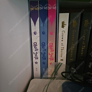 문과 날개 로판 소설 개인지