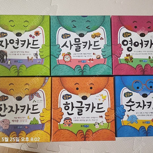 웅진주니어 곰돌이카드 6종