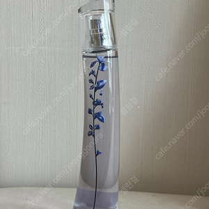 겐조 플라워 이케바나 오드 퍼퓸 인디고 75ml (거의새것)