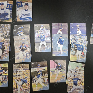 2025 KBO 포토카드 크보 프로야구카드 NC다이노스 30장 일괄