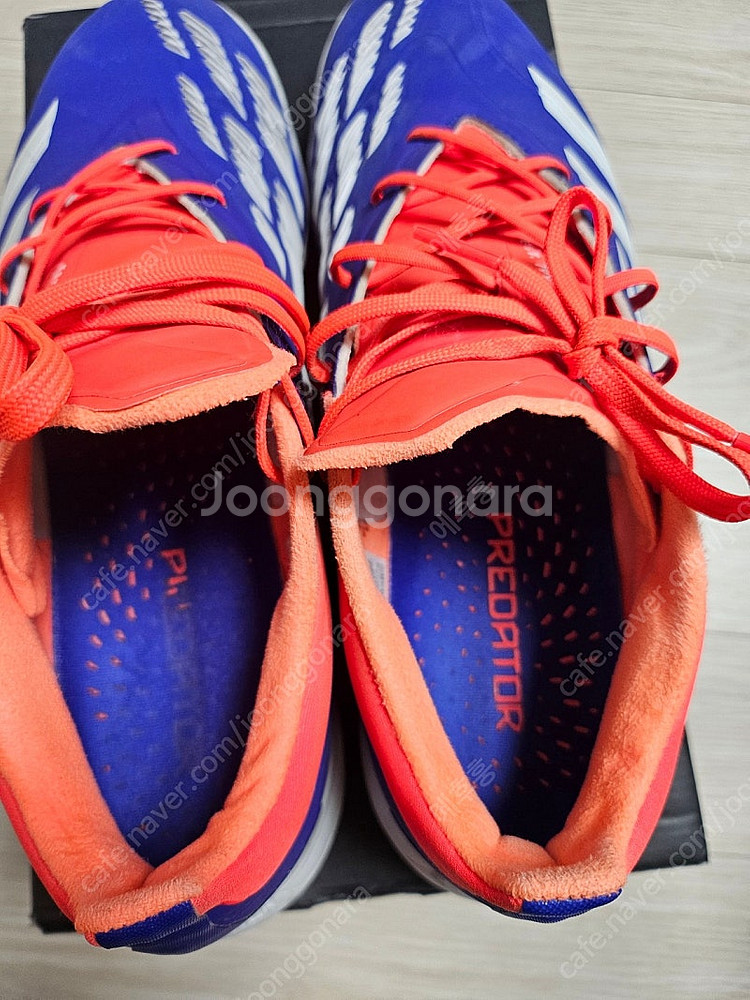 아디다스 프레데터 엘리트 TF(260)--5