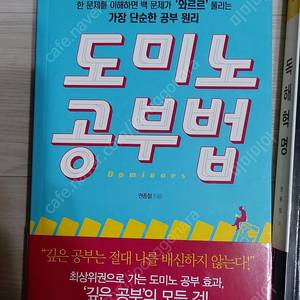 책 도미노 공부법, 독해혁명 총 두 권