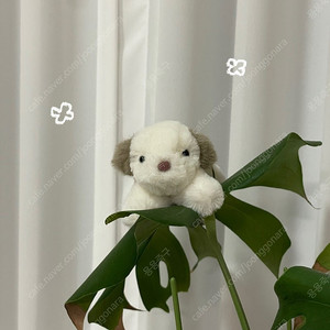 애착 강아지 인형 키링