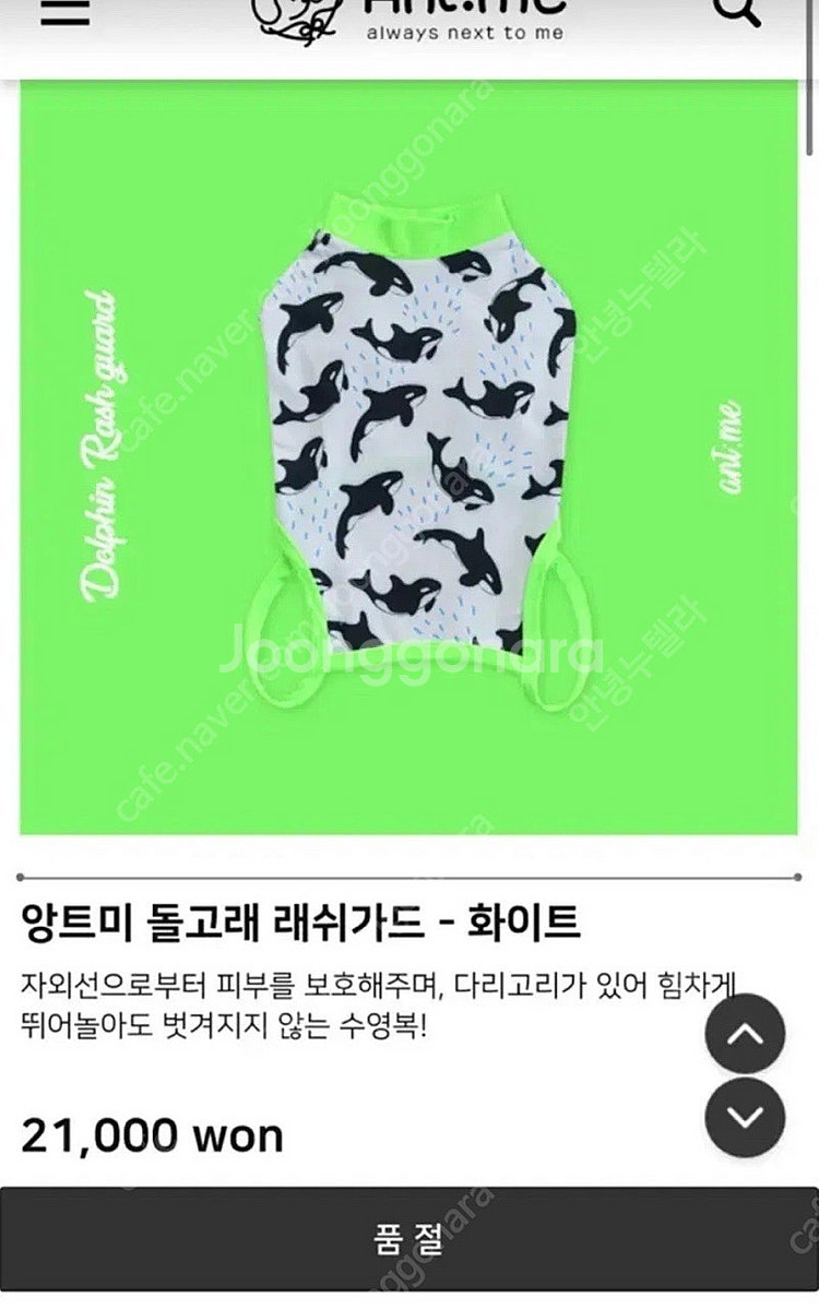 앙트미 M사이즈 강아지 래쉬가드--2