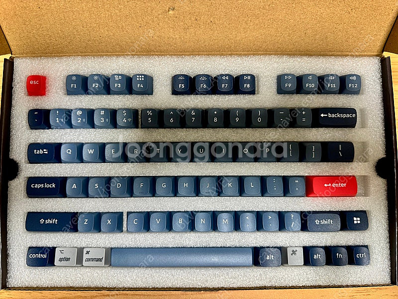 키크론 v1 max--1