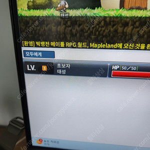 메이플랜드sss급 닉네임팝니다