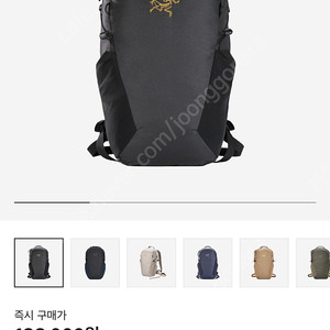 아크테릭스 맨티스 16
