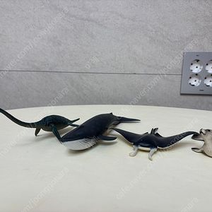 슐라이히 바다생물(동물,공룡)