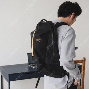 아크테릭스 아로22 24k