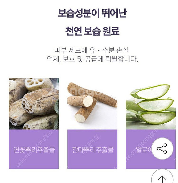 베베앙 로열플러스 물티슈(70매 , 1팩 432g) ~...--2