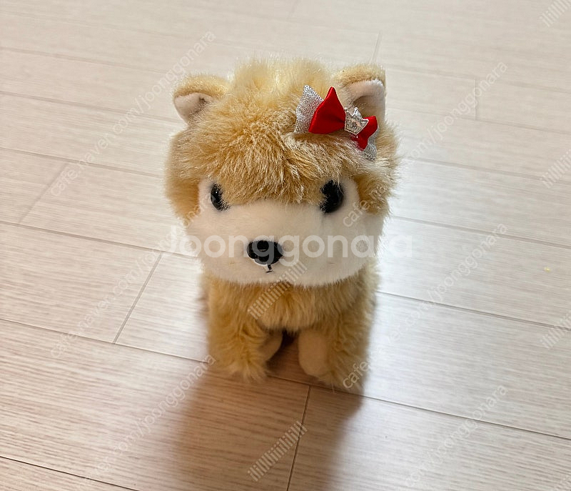 앉았다일어나는 장난감 강아지 콩이 택포--2