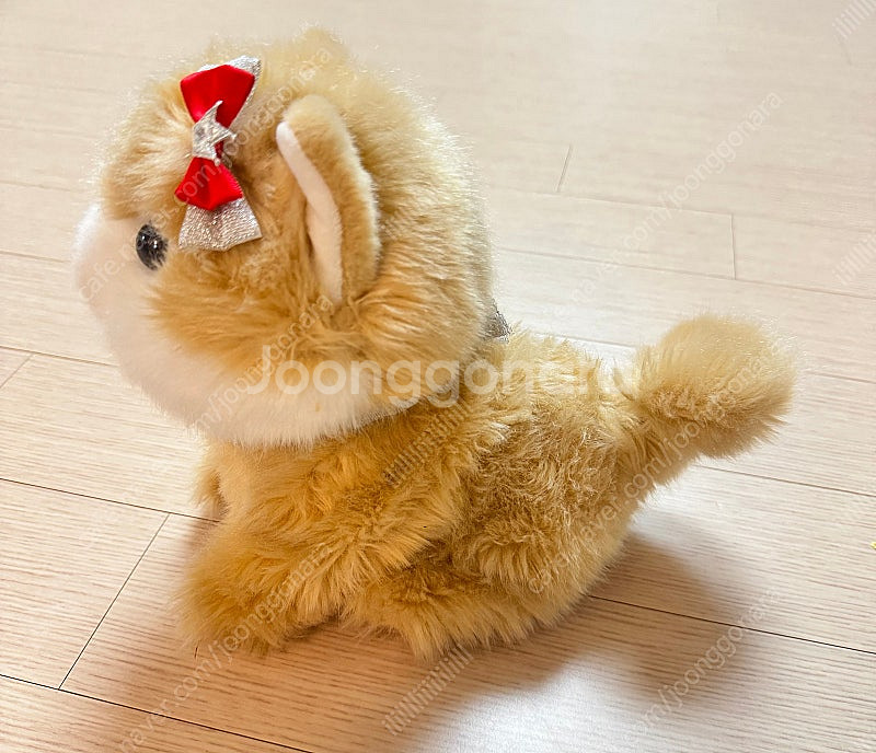 앉았다일어나는 장난감 강아지 콩이 택포--3