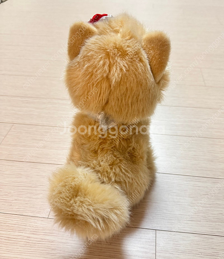 앉았다일어나는 장난감 강아지 콩이 택포--4