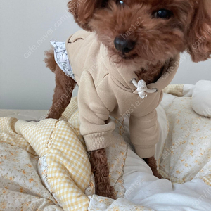 넷플릭스프리미엄 한자리 저렴하게 양도합니다