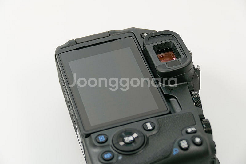 EOS RP 바디--5