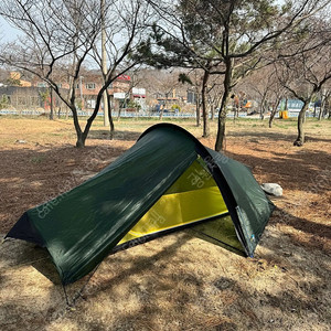 테라노바 레이저 컴팩트1 팝니다