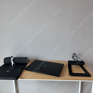 Razer Blade 17 Pro 블레이드17프로