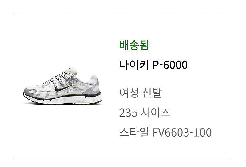 나이키 P-6000 코코넛밀크 메탈릭실버 235mm새제...--1