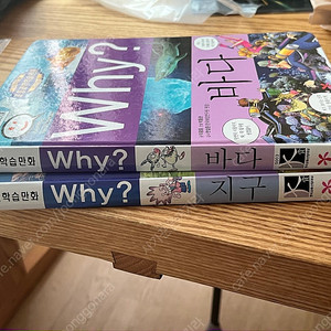 why?와이책 2권