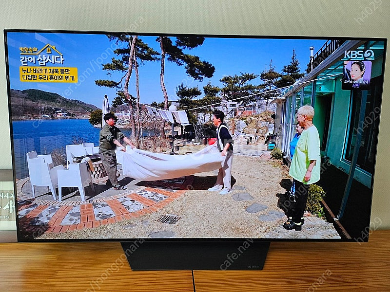 LG 55인치 TV 팝니다--0