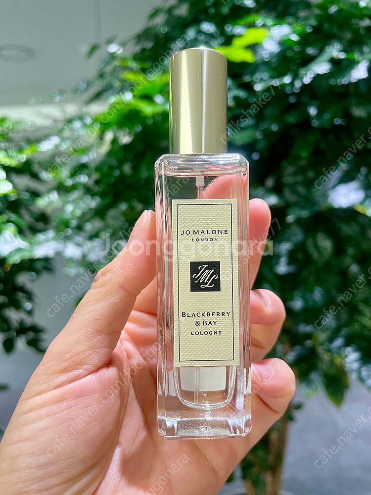 조말론 블랙베리앤베이 오드코롱 30ml--5