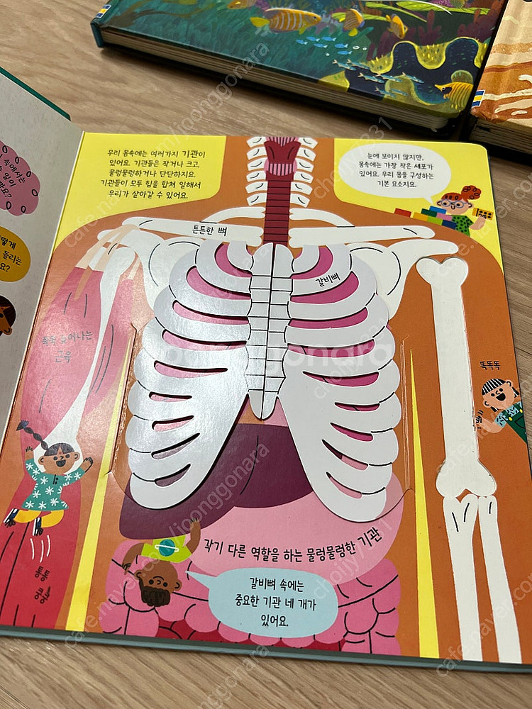어스본 요리조리 열어보는 바다, 우주, 지구// 어스본...--2