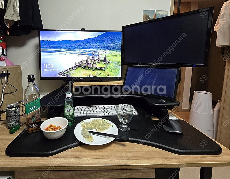 베리데스크 프로 플러스 36 (Varidesk pro ...--0