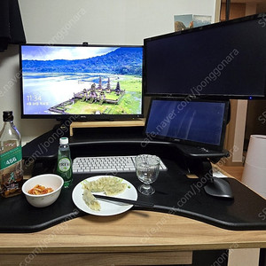 베리데스크 프로 플러스 36 (Varidesk pro plus 36)