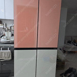 삼성 BESPOKE 냉장고 4도어 프리스탠딩874리터