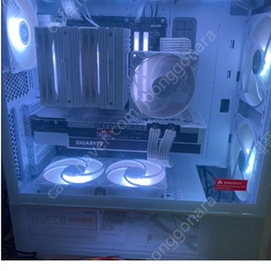 13700kf z690 d5 반본체 팝니다 글카x