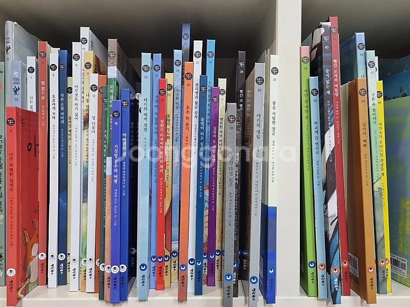 도로시책끼 전권--0