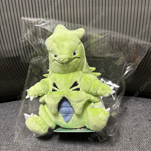 포켓몬스터 마기라스 fit 인형
