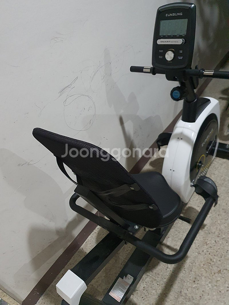 EUNSUNG 헬스싸이클 V502--3