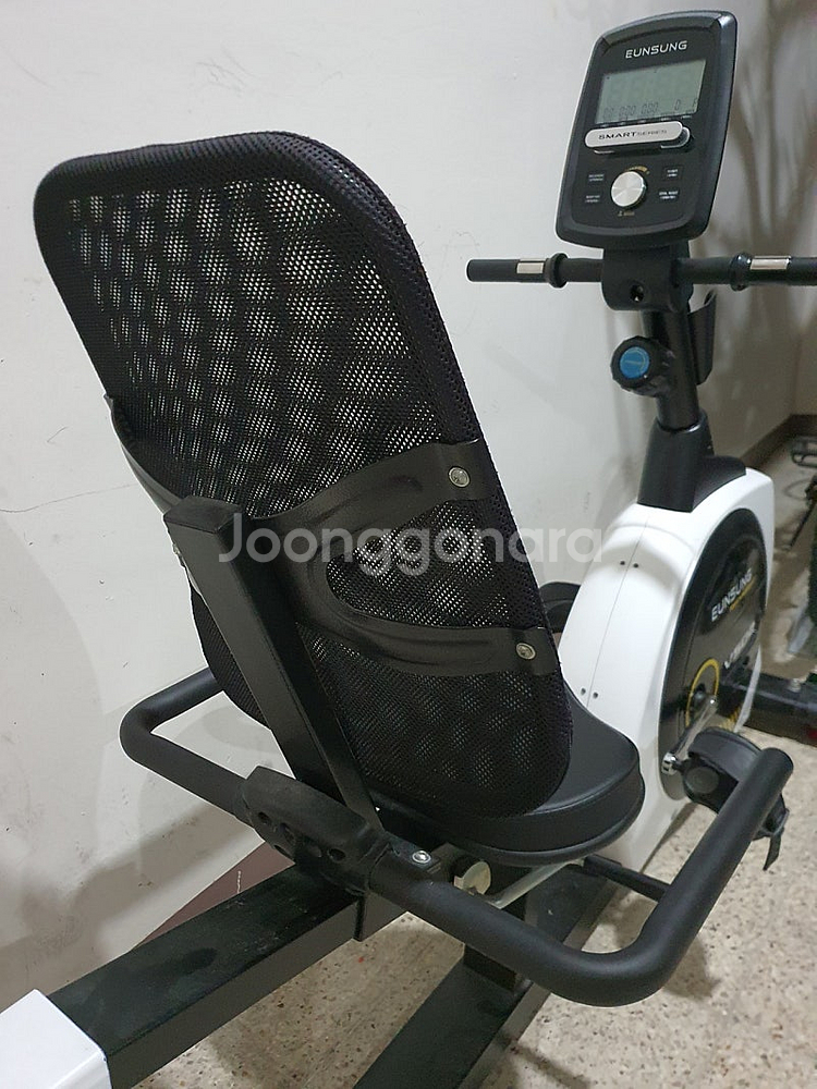 EUNSUNG 헬스싸이클 V502--4